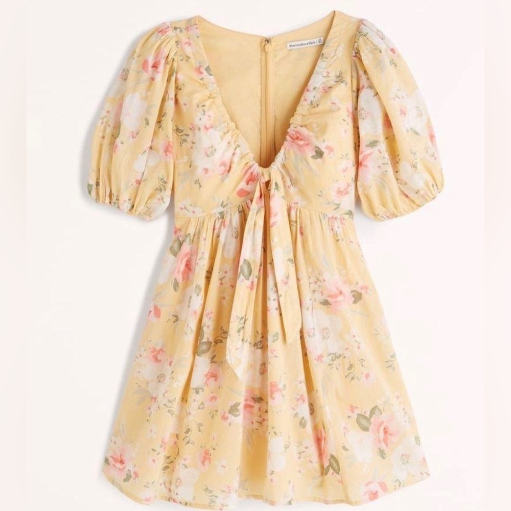 Abercrombie and Fitch Poplin Puff Sleeve Babydoll Mini Dress